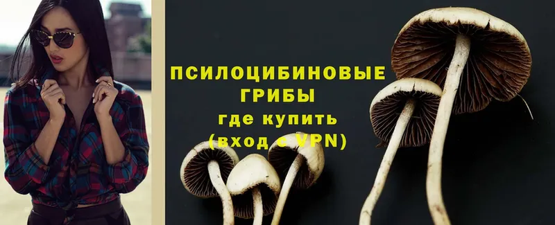 Псилоцибиновые грибы GOLDEN TEACHER  Рязань 